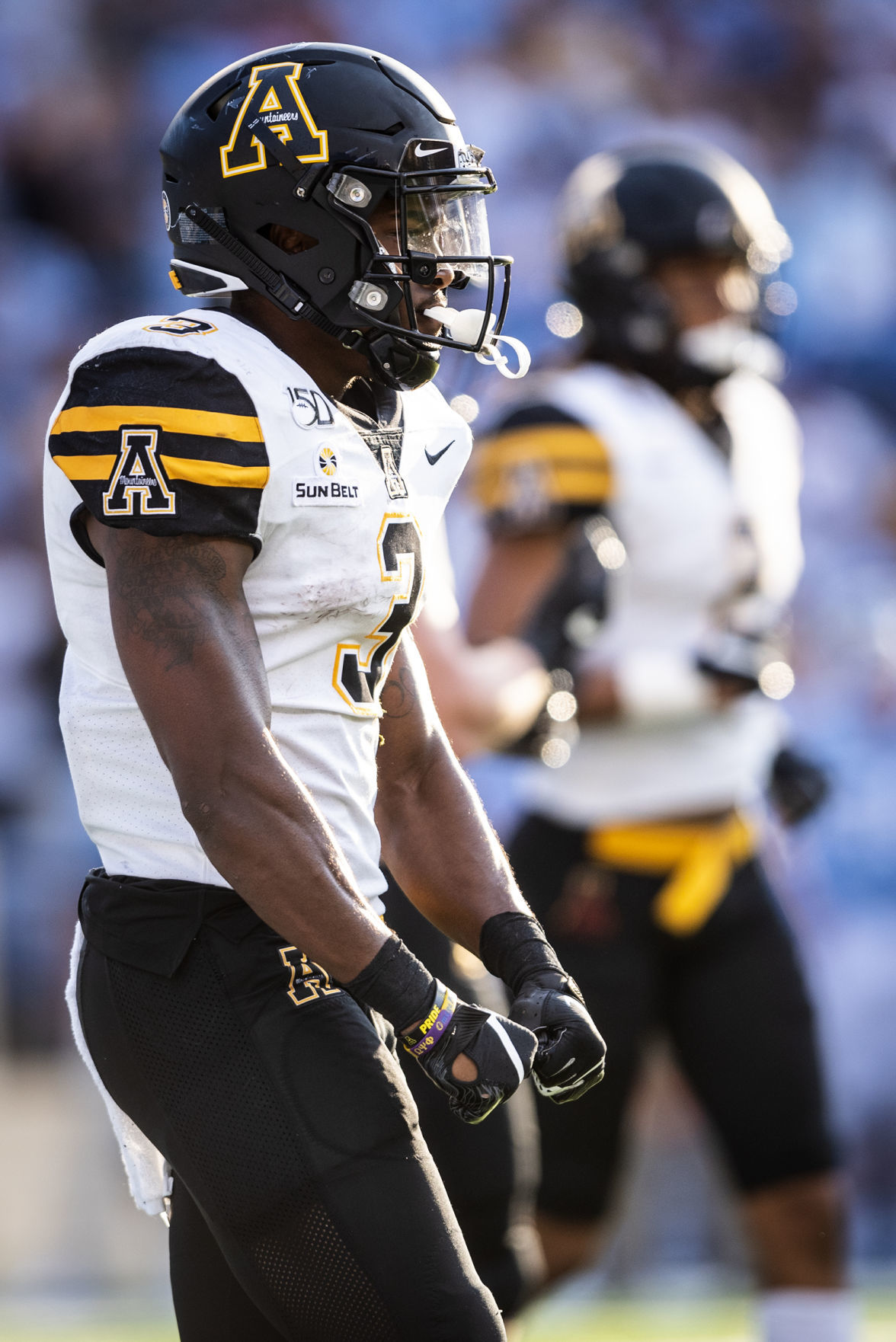 AppStateFB